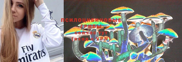 прущая мука Алексин