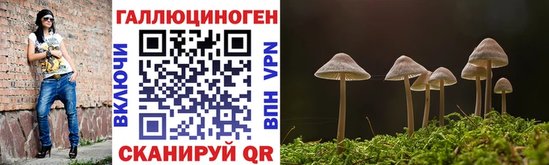 Псилоцибиновые грибы мицелий  закладки  Асбест 